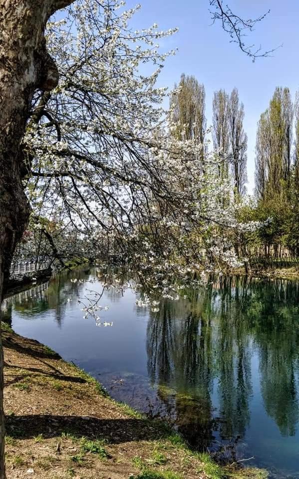 Zara Apartment Treviso Ruang foto